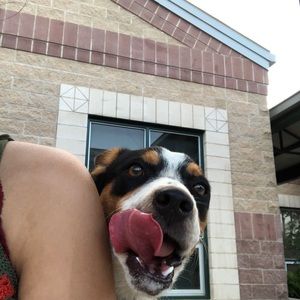 Meet your Posher, Alexa